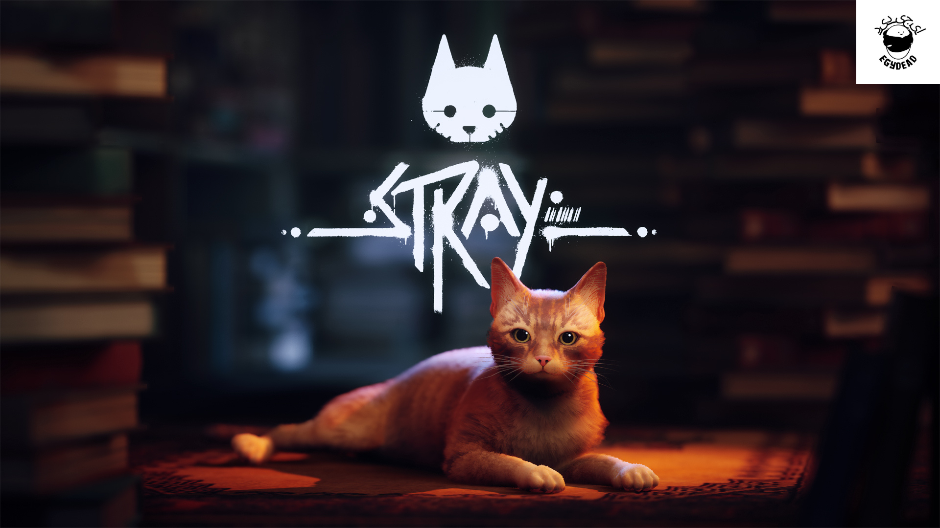 Stray